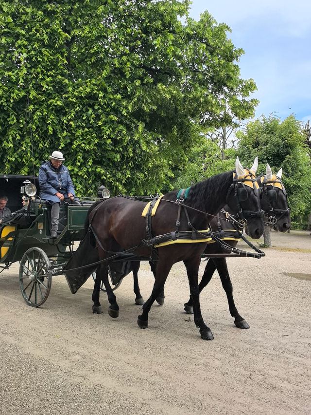 On the Road Through Europe: Long Road Trip - Austria