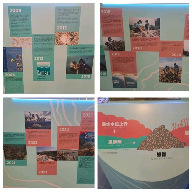 滄海遺珠展覽參觀的個人感受