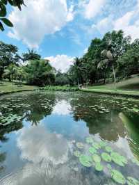 “Serenity in the City: Discover the Tranquil Beauty of Perdana Botanical Garden”