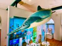 Lapworth Museum of Geology – A Journey Through Earth’s History