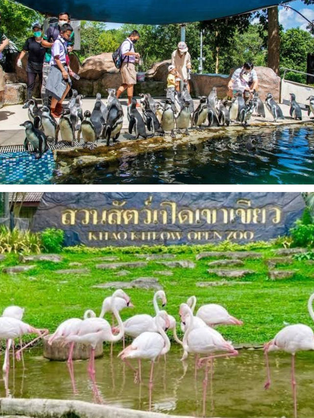 เขาเขียว สัมผัสใกล้ชิดชีวิตสัตว์แบบธรรมชาติ @ชลบุรี