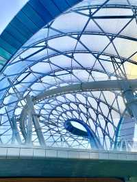 เครื่องเล่นที่หวาดเสียวที่สุดในShanghai Disneyland