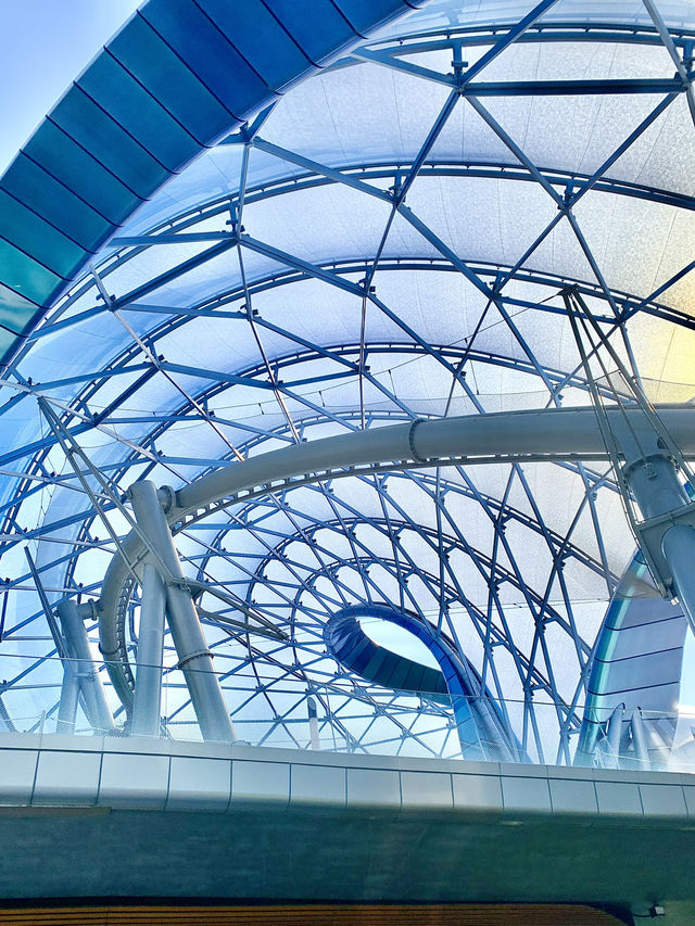 เครื่องเล่นที่หวาดเสียวที่สุดในShanghai Disneyland เครื่องเล่นที่หวาดเสียวที่สุดในShanghai Disneyland