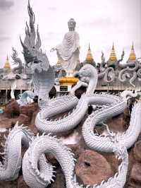 วัดดอนใหญ่ Babyพญานาค