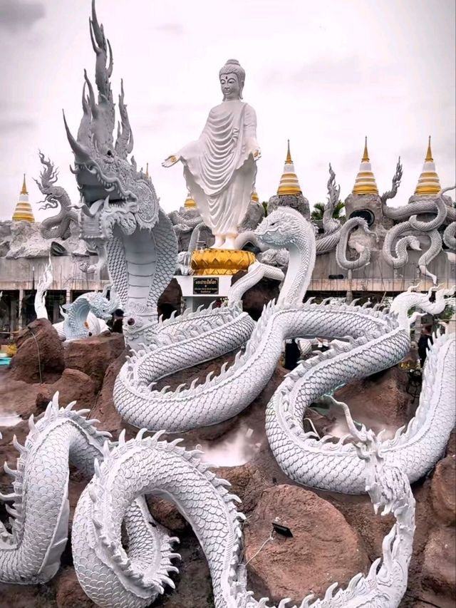 วัดดอนใหญ่ Babyพญานาค