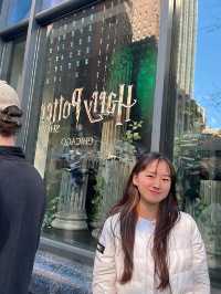 🧙‍♂️⚓🎭 시카고에서의 하루 : 해리포터 스토어 · 네이비 피어 · 셰익스피어 극장