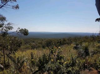 Mount Dale Lookout