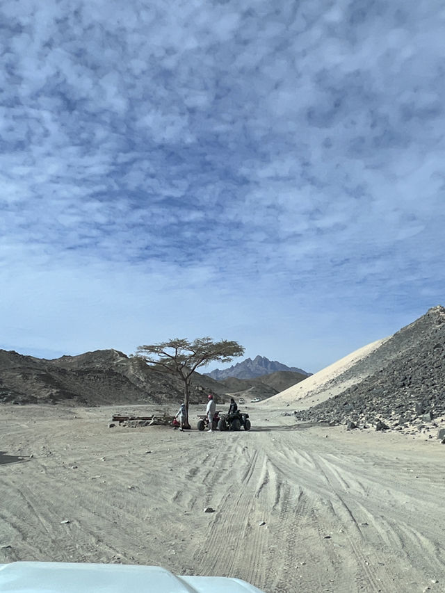 ［埃及旅遊］撒哈拉沙漠🏜️在一望無際的沙漠裡飆沙爬沙丘