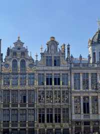 🇧🇪 比利時:布魯塞爾大廣場(Grand-Place) ✨
