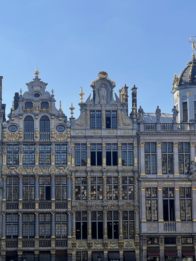 🇧🇪 比利時:布魯塞爾大廣場(Grand-Place) ✨ 🇧🇪 比利時:布魯塞爾大廣場(Grand-Place) ✨