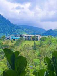 The Enclave Stay 🌿
