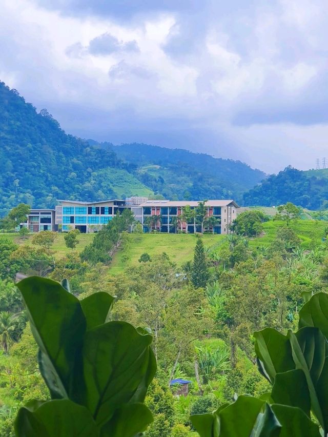 The Enclave Stay 🌿