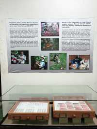 Natural History Museum: Must-Visit Treasure in Borneo