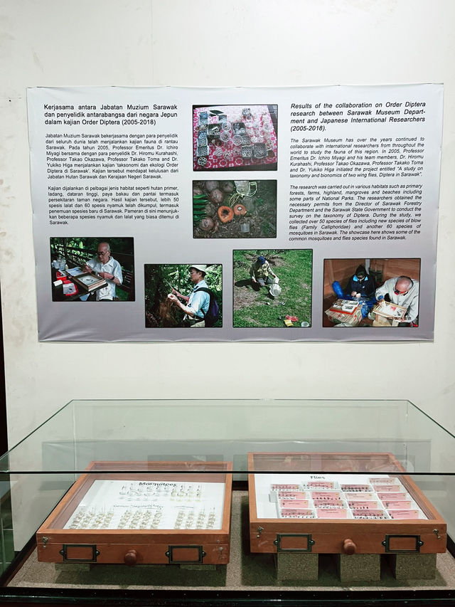 Natural History Museum: Must-Visit Treasure in Borneo