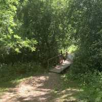 Barley Valley Nature Reserve – Hidden Hills & Meadows Above Exeter