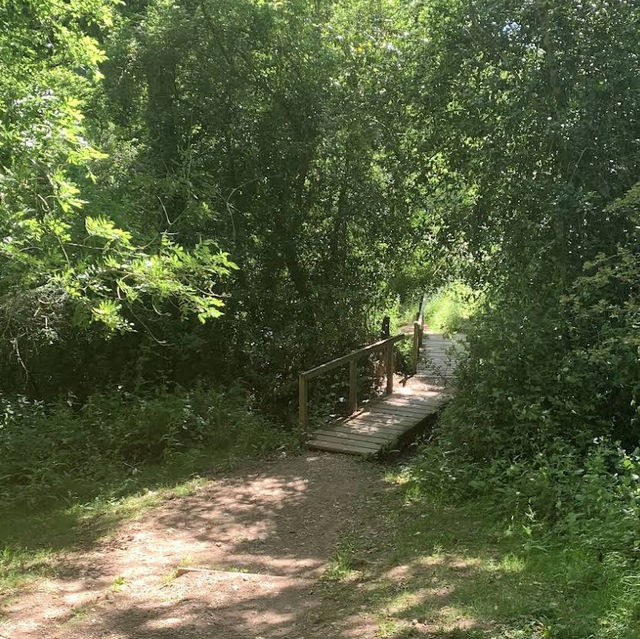 Barley Valley Nature Reserve – Hidden Hills & Meadows Above Exeter