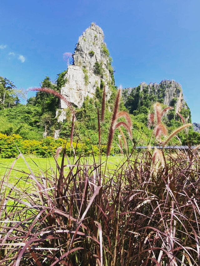 สโลวไลฟ์ที่ บ้านมุง เนินมะปราง🌲