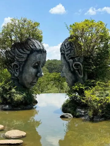 Nature’s Calm Waters🌿