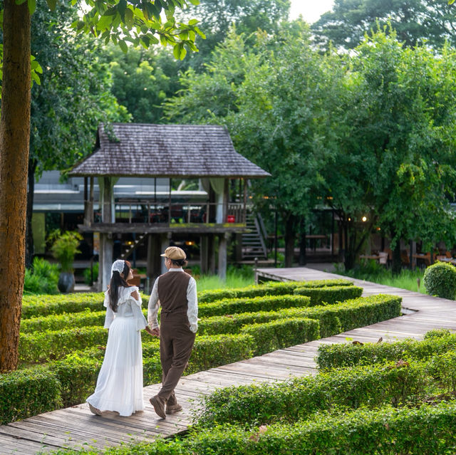 พักผ่อนฮีลใจที่เชียงใหม่ นอนรีสอร์ทสวย 🌳