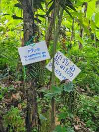 น้ำตกสลัดได | นครนายก