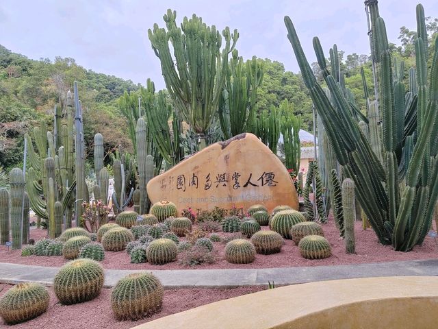 深圳仙湖植物園🌵多肉控必朝聖!沙漠奇境打卡超治癒 深圳仙湖植物園🌵多肉控必朝聖!沙漠奇境打卡超治癒