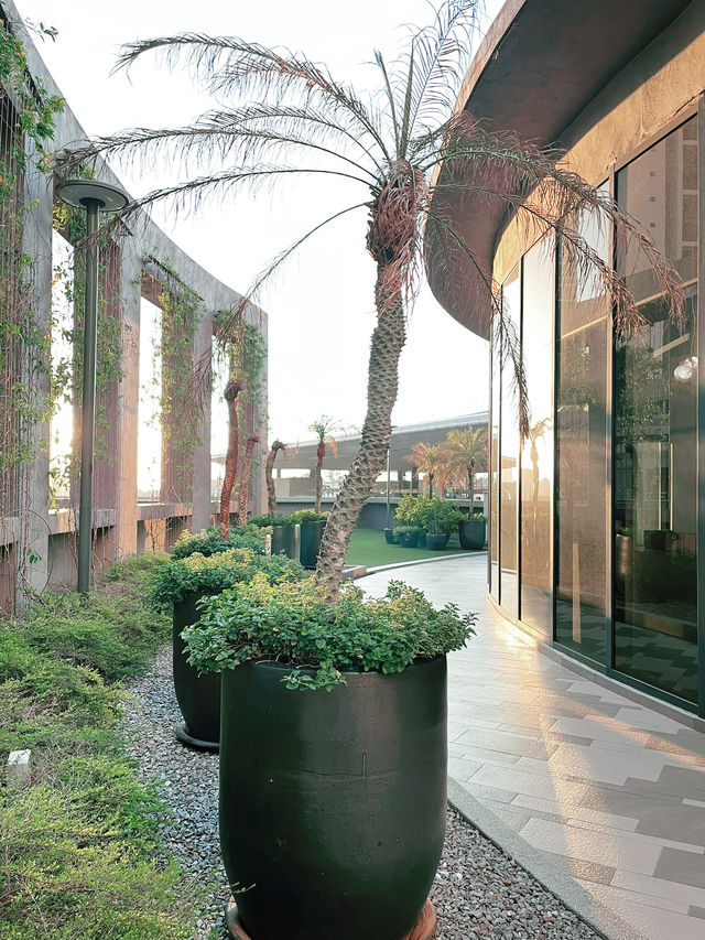 “Discover the Charm of IOI Mall Damansara’s Stunning Rooftop Garden”  “Discover the Charm of IOI Mall Damansara’s Stunning Rooftop Garden”