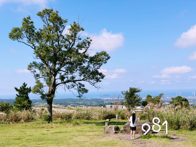 📸 사진찍기 좋고 놀거리 많은 981 얼리버드