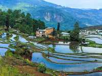 🌾🏔️ Yuanyang Hani Terraces — A Living Symphony of Earth, Water, and Humanity