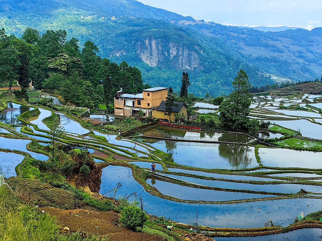 🌾🏔️ Yuanyang Hani Terraces — A Living Symphony of Earth, Water, and Humanity