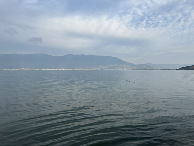 大理酒店賞花睇湖一次滿足