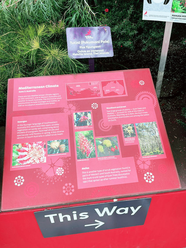 Flower Dome Singapore: A Must-Visit Floral Wonderland Flower Dome Singapore: A Must-Visit Floral Wonderland