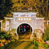 The Garden’s Lantern-Lit Breath
