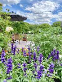 🌸 Ishibashi Cultural Center — A Garden of Art, Music, and Flowers in Kurume