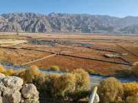 A Bird's-Eye View of the Golden Grassland: A Golden Scroll on the Pamir Plateau