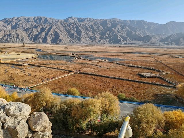 A Bird's-Eye View of the Golden Grassland: A Golden Scroll on the Pamir Plateau