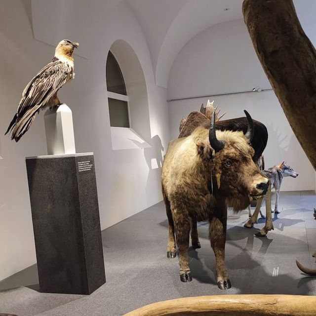 Natural History Museum of the University of Zurich: Where Science and Wonder Meet Natural History Museum of the University of Zurich: Where Science and Wonder Meet
