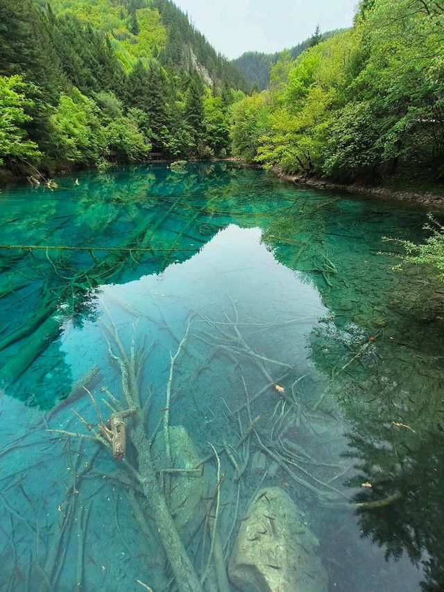 九寨溝隱世湖泊漫步攻略