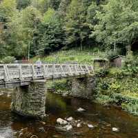 Solo in a Storybook: A Fairytale Day in Monschau