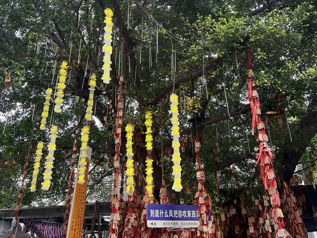 東莞西溪古村文青打卡之選📸