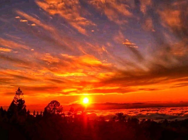 🌋 Teide National Park – The Majestic Heart of Tenerife