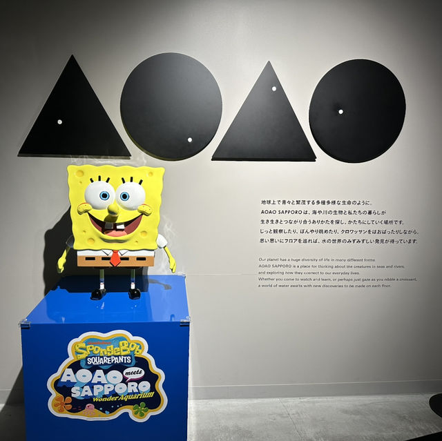 北海道札幌市中心- AOAO SAPPORO水族館 北海道札幌市中心- AOAO SAPPORO水族館