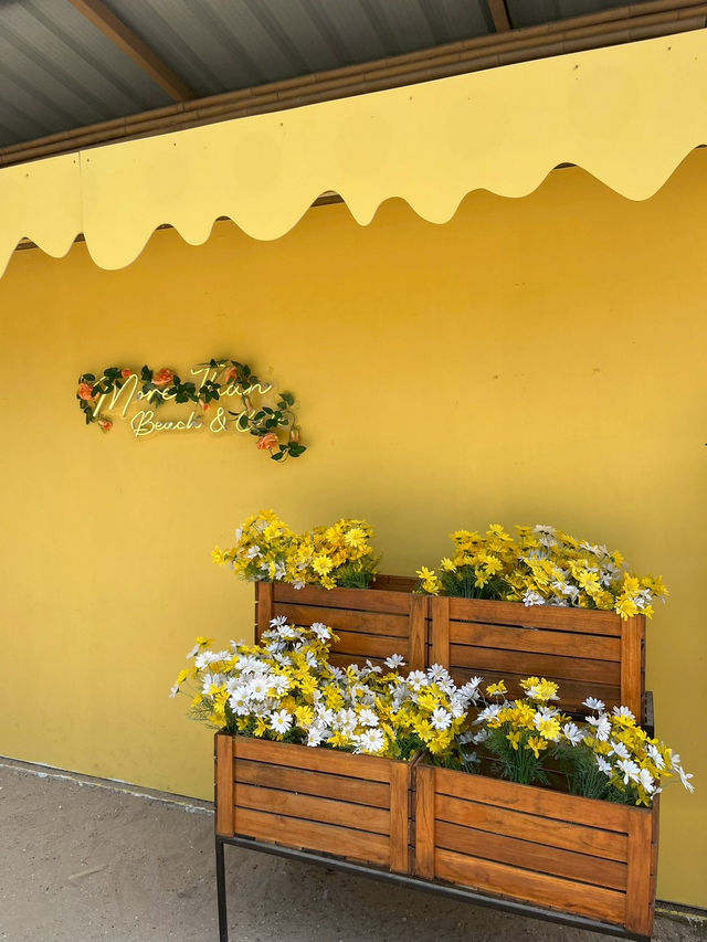 More Than Beach & Cafe 🍋✨🏖️