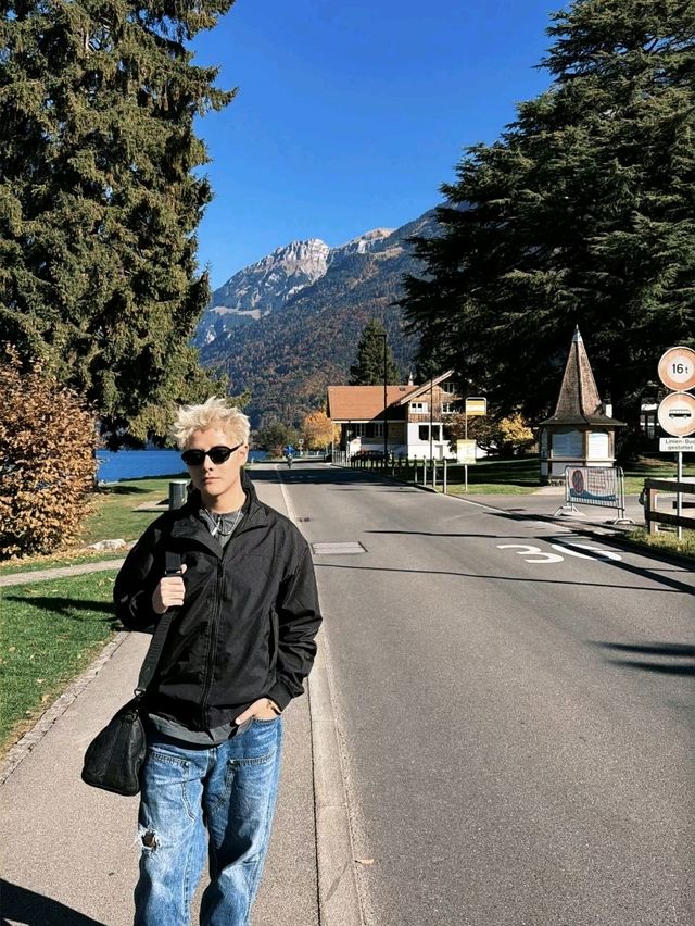 Swiss Peaks Dream🍂