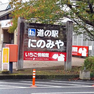 [Tochigi/Mooka🇯🇵] Strawberry love abounds! 🍓 Roadside Station Ninomiya