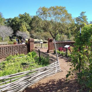 The State Botanical Garden of Georgia