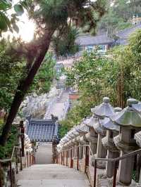 학업성취 기원 불전함이 인상적인 용궁사🎓