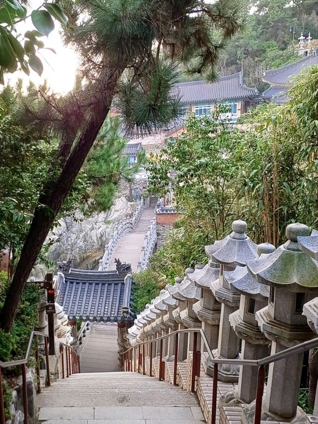 학업성취 기원 불전함이 인상적인 용궁사🎓