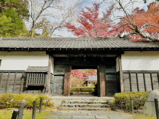 The Solo Day Out: Higashiyama Zoo & Botanical Gardens The Solo Day Out: Higashiyama Zoo & Botanical Gardens