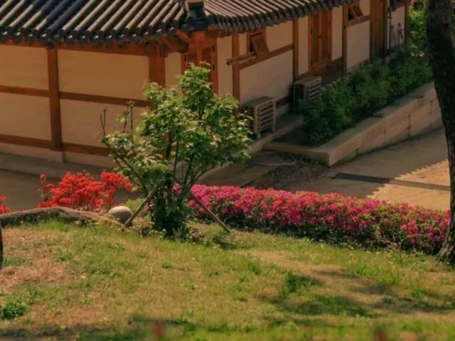 🕊️ Bongeunsa Temple – A Peaceful Escape in the Heart of Gangnam