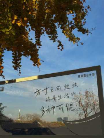 百年銀杏樹下的下午茶